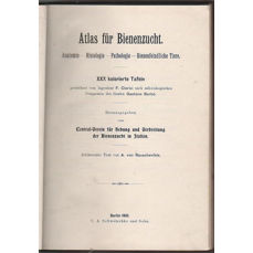 Atlas für Bienenzucht  / Anatomie - Histologie - Pathologie - Bienenfeindliche Tiere (1901)