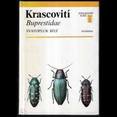 Krascovití / Buprestidae