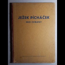 Ježek Pícháček mezi zvířátky (V. Kubašta, 1942)
